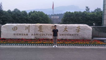 德源于心 技專于勤 全面解析溫江區(qū)燎原職業(yè)技術(shù)學校與襄陽汽車職業(yè)技術(shù)學院數(shù)控機械汽修專業(yè)