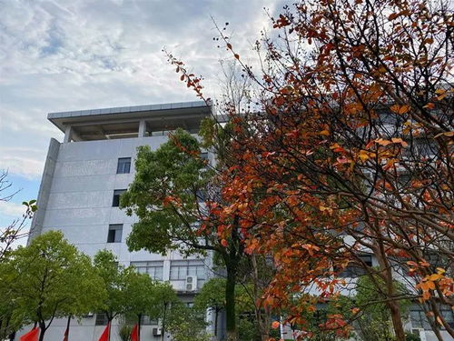 安徽汽車職業(yè)技術(shù)學院與襄陽汽車職業(yè)技術(shù)學院2022年報考指導